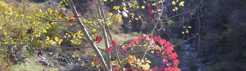 Herbstzeit zog ihr rotes Band.../ im Varzob-Tal