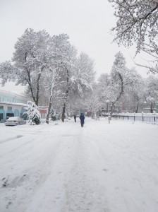 Schneelandschaft in Duschanbe