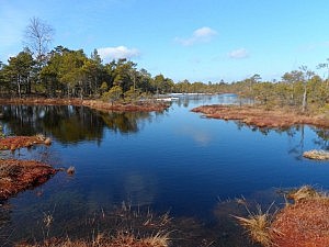 verhängisvoll: natürlich haben wir zwei verpeilten Deutschen es nicht geschafft, hier nicht reinzufallen und jeweils bis zur Hüfte nass zu werden - kalt wars schon, aber zumindest für die anderen gleich fünfmal lustiger. Wenigstens war Ausflugorganisator Aleksander auf alles vorbereitet und hatte sogar ein Extrapaar trockene Socken dabei!
