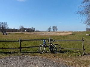 Unterwegs: Das Fahrrad hatte ich mir vor ein paar Monaten aus einem spontanen Einfall heraus übers Internet gekauft, vor kurzem nochmal bisschen reparieren lassen und bin jetzt unendlich glücklich damit. Ein Fahrrad im Sommer = Lebensqualität