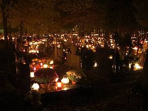 10636083_10205021802287716_9159672766466287575_n[1]