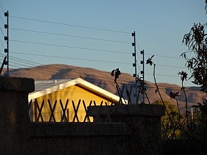 Blick über den Zaun