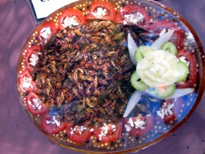 Mhmmmm, Mittagessen ;)