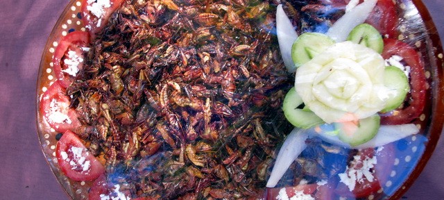 Mhmmmm, Mittagessen ;)