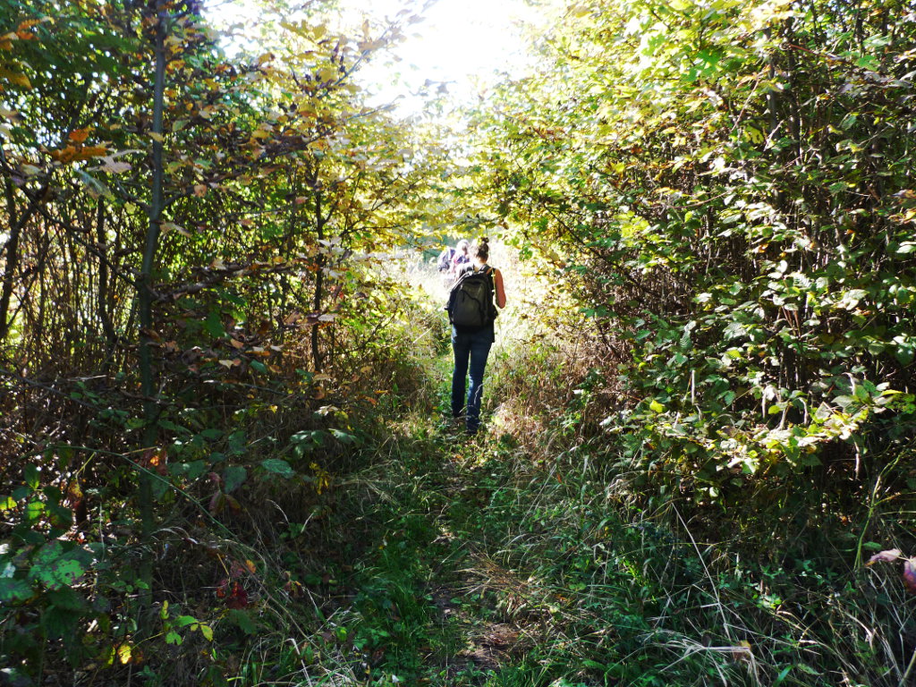 "Off the beaten path"