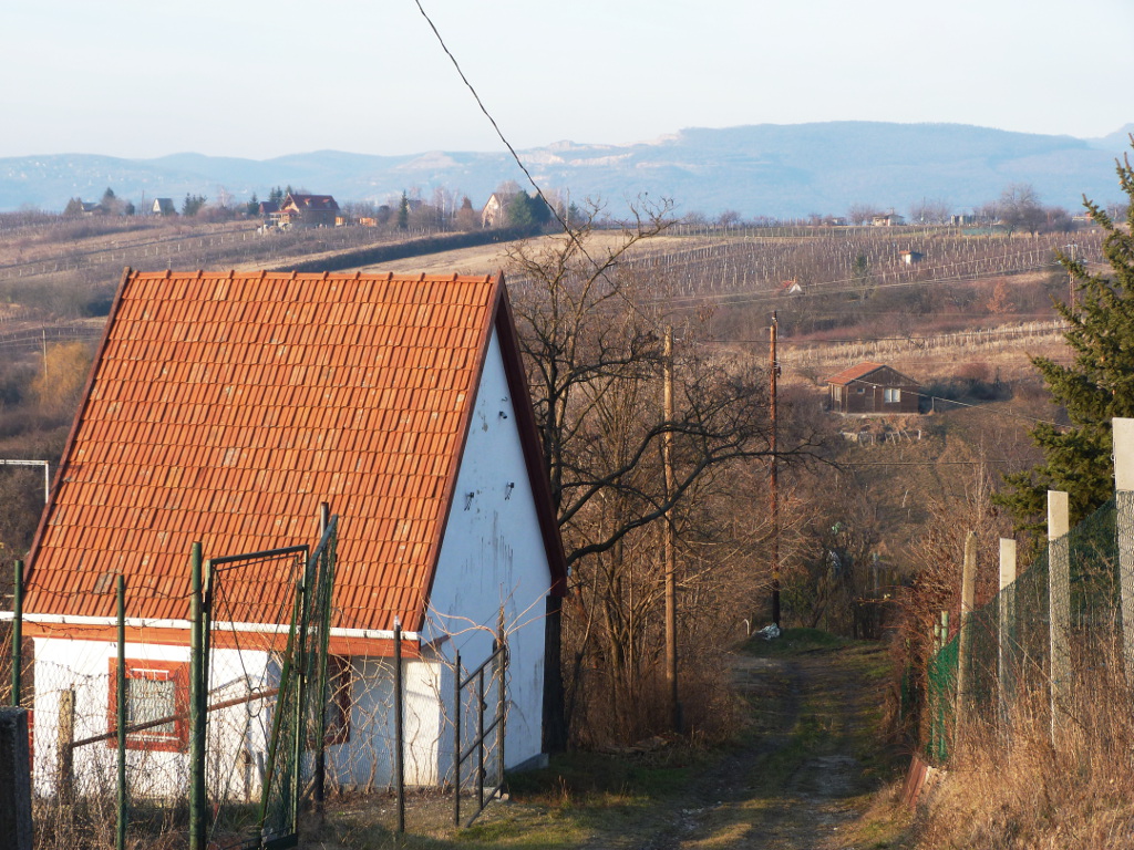 Schöne Wintersonne, leider an nur genau einem Tag im Januar
