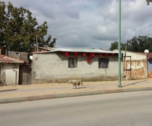 20151017_122128-1[1]