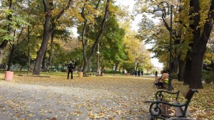 Stadtpark Plovdiv