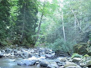 die Stelle, an der wir baden waren