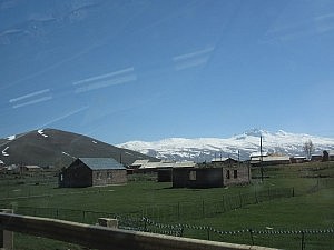 IMG_1191