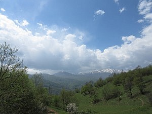 IMG_1268