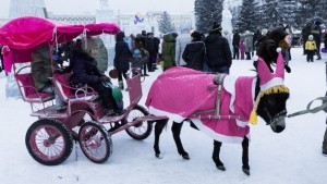 01.01.2016 Opfer des Tages