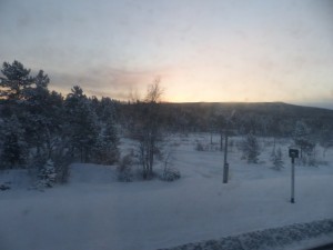 morgendlicher Blick aus dem Zugfenster