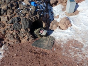 Jessy vor Wiedergeburt