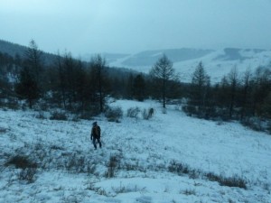 walkin' in a winter wonderland