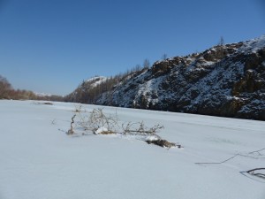 Selbst das Treibholz wurde eingefroren
