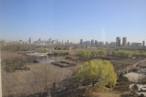 Blick aus unserem Fenster