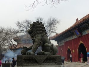 Steinlöwe beim Lamatempel