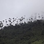 2012-12-15 Salento (21)