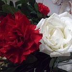 2013-03-08 Dia de la mujer (10)