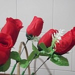 2013-03-08 Dia de la mujer (5)