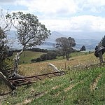 2013-04-07 Guasca (7)