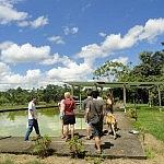 2013-06-12 llanos (4)