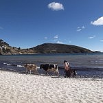 2013-06-20 isla del sol (7)