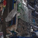 2013-06-21 la paz (2)