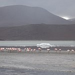 2013-06-22 salar de uyuni (66)