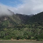 2013-06-28 la selva rurre (16)