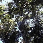 2013-06-28 la selva rurre (37)