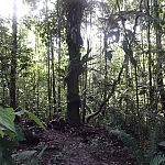 2013-06-28 la selva rurre (56)