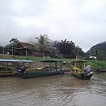 2013-06-28 la selva rurre (6)