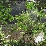 2013-06-28 la selva rurre (61)