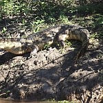 2013-07-01 pampa tour (12)