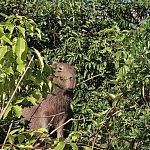 2013-07-01 pampa tour (20)