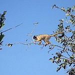 2013-07-01 pampa tour (34)