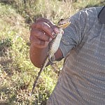 2013-07-01 pampa tour (59)