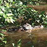 2013-07-01 pampa tour (9)