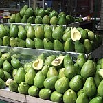 2013-07-21 Zipaquira (1)