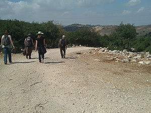 Unsere fröhliche Wandertruppe - auf dem erholsamen Weg bergab ;)