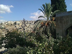Mein erster Blick über Amman, Richtung Downtown; aufgenommen am Ende der berühmten "Rainbow"-Street