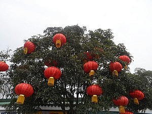 Rote Lampions für das Frühlingsfest