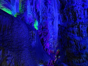 Wo ist wohl der Hundertfüßer, der vor einem magischen Spiegel zurückschreckt?