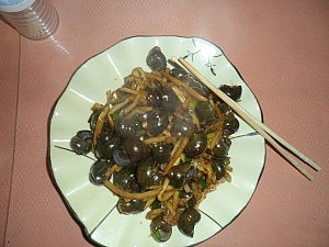 Flussschnecken aus dem Li River