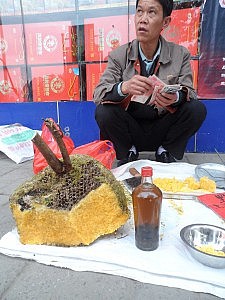 Da hat wohl jemand einen Bienenstock ausgeräuchert