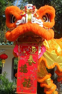 Ein Löwenmonster, das ich an einem Tag fotografiert habe, an dem ich nicht meine Kamera zuhause vergessen hatte