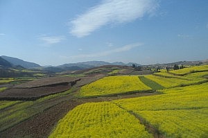 Fast wie in Hohenlohe