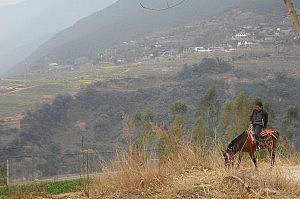 Unser treuer Esel-Reiter